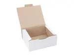 50 ks - Poštovní krabice 250x200x100 3VVL, bílá
