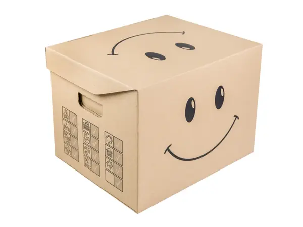 5 ks - Archivační a úložná krabice 390x322x297 Smajlík