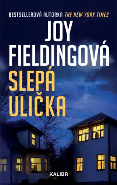 Slepá ulička - Joy Fieldingová - e-kniha