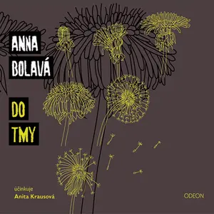 Do tmy - Anna Bolavá - audiokniha