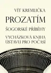 Prozatím - Vít Kremlička - e-kniha
