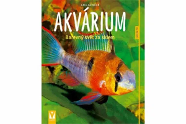 Akvárium - Alex Gutjahr