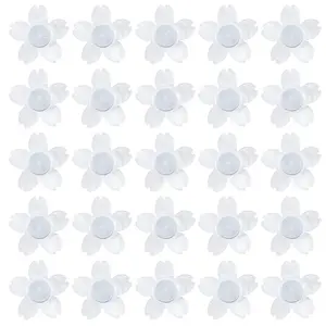 30Pcs Acrylic Ear Nuts