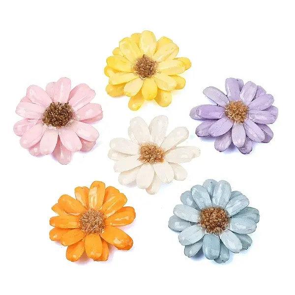 Epoxy Resin & Dried Flower Big Pendants