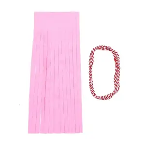 Paper Tassel Banner