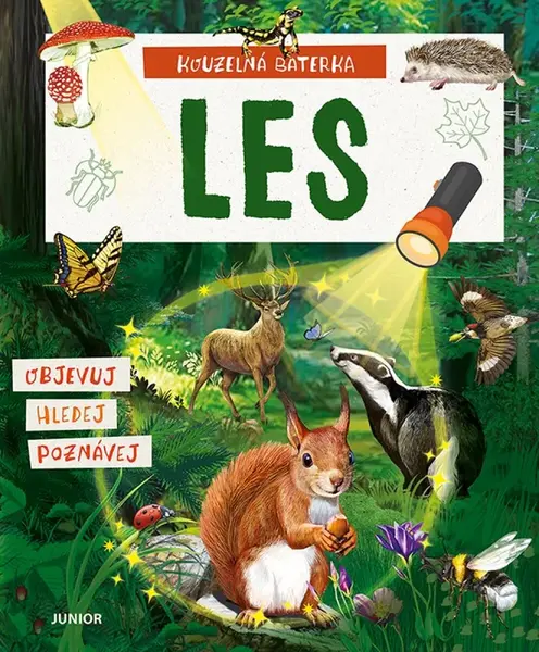 Kouzelná baterka: Les - Elina Roth