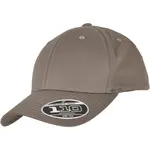 Flexfit 110 Curved Visor Snapback šedý