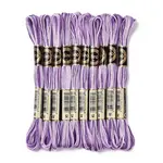 10 Skeins 6-Ply Polyester Embroidery Floss