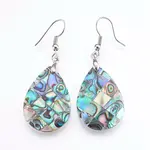 Abalone Shell/Paua Shell Dangle Earrings