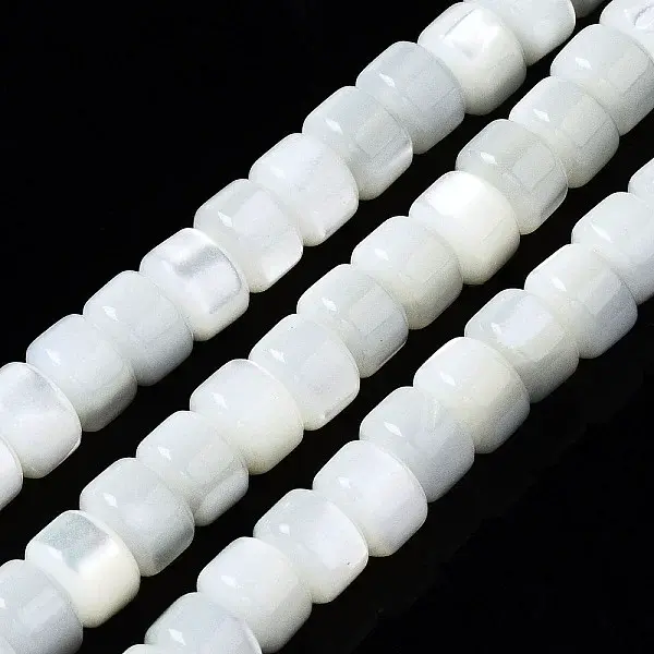 Natural Trochid Shell/Trochus Shell Beads Strands