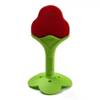 Silicone Fruit Teether and Toothbrush