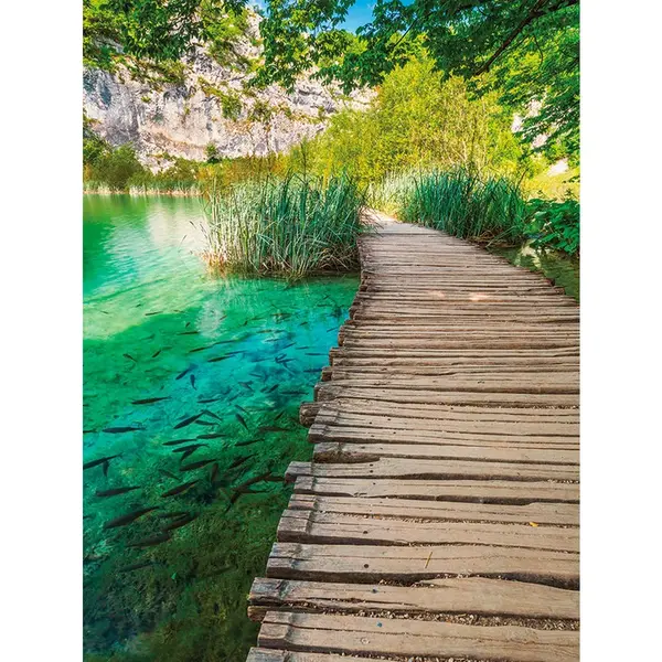 Euroart OBRAZ NA PLÁTNĚ, krajina a příroda, 60/80 cm