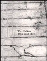 Dům mezi okny - Petr Fabián