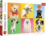 Psy - puzzle z kategorie 60 – 300 dielikov