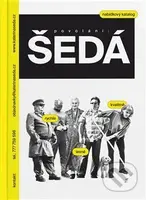 Povolání: ŠEDÁ - Yvona Ferencová, Kateřina Šedá - kniha z kategorie Malířství a sochařství