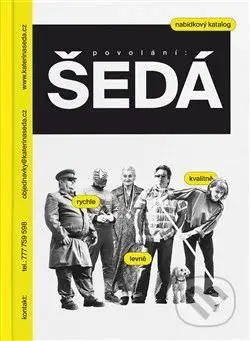 Povolání: ŠEDÁ - Yvona Ferencová, Kateřina Šedá - kniha z kategorie Malířství a sochařství