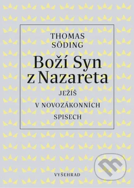 Boží Syn z Nazareta (Ježíš v novozákonních spisech) - kniha z kategorie Teologie