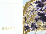 Brett - Anton Divácký - kniha z kategorie Fotografie