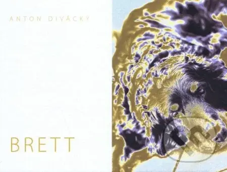 Brett - Anton Divácký - kniha z kategorie Fotografie