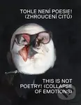Tohle není poesie! - Martin Gerboc - kniha z kategorie Umění, design a architektura