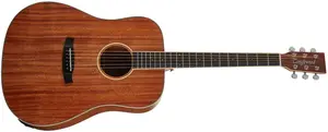 Tanglewood TUN5E