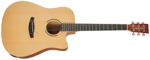 Tanglewood TR5CE