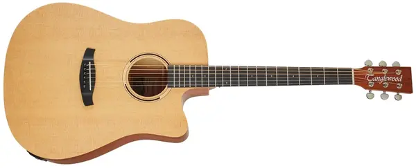 Tanglewood TR5CE