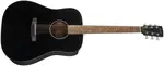 Cort Earth 60 BK