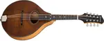 Eastman PCH-M104
