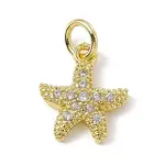 Brass Micro Pave Cubic Zirconia Charms