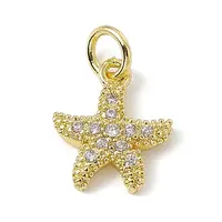 Brass Micro Pave Cubic Zirconia Charms