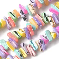 Dyed Natural Trochus Shell Beads Strands