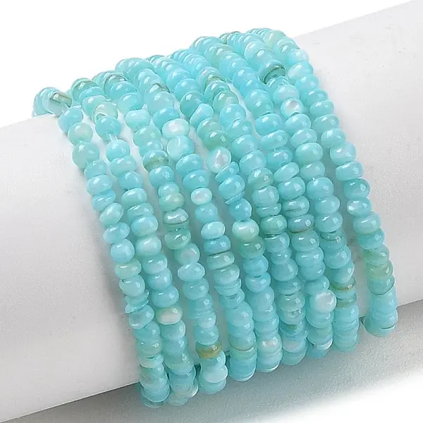Natural Freshwater Shell Beads Strands