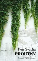 Proutky - Petr Švácha - kniha z kategorie Poezie