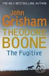 Theodore Boone The Fugitive - John Grisham