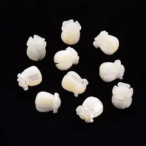 Natural Trochid Shell/Trochus Shell Beads
