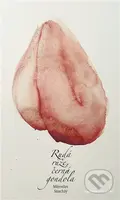 Rudá růže, černá gondola - Miroslav Stuchlý