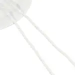 2 Strands Natural Freshwater Shell Beads Strands