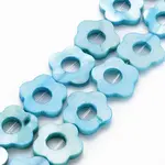 Freshwater Shell Beads Frames Strands