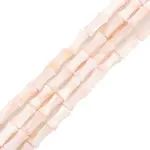 Natural Freshwater Shell Beads Strands