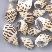 Spiral Shell Beads