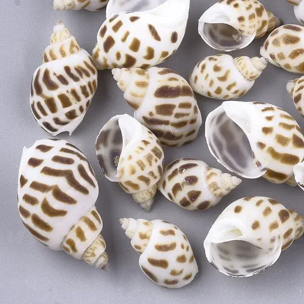 Spiral Shell Beads