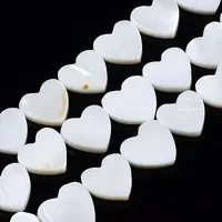 Natural Freshwater Shell Beads Strands