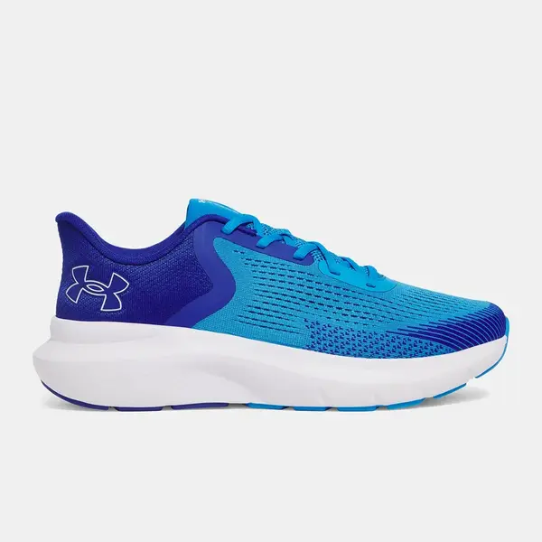Men's shoes Under Armour UA Charged Rogue 5 - Men's