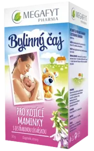 MEGAFYT Bylinný čaj pro kojící maminky s jestřabinou 20 x 1.5 g