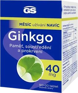 GS Ginkgo 40mg 90 + 30 tablet