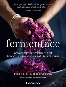 Kniha: Fermentace od Davisová Holly
