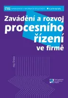 Zavádění a rozvoj procesního řízení ve firmě, Šmída Filip