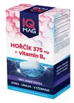 IQ MAG hořčík 375mg + vit.B6 60 kapslí
