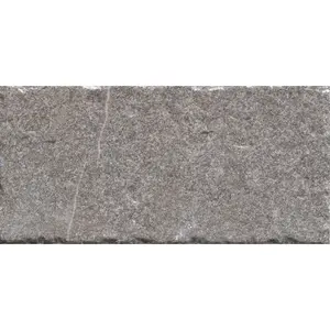 Dlažba Cir Reggio Nell´Emilia rosta nuova 10x20 cm mat 1059385